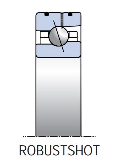 外圈供油軸承（ROBUST SHOT）